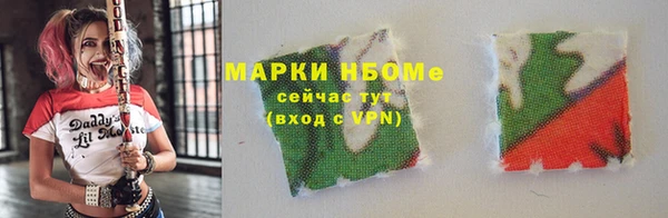 СК Белокуриха