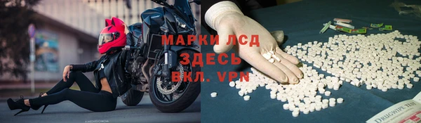 СК Белокуриха