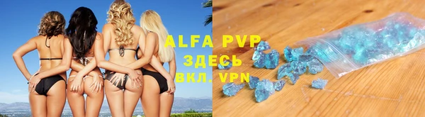 СК Белокуриха