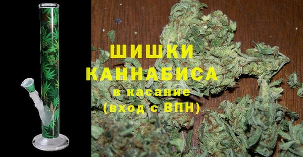 гидра Анжеро-Судженск