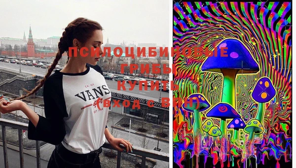 СК Белокуриха