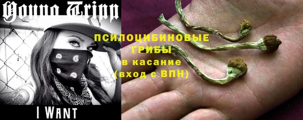 СК Белокуриха
