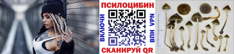Псилоцибиновые грибы прущие грибы Валуйки